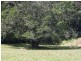 lot 31 Tallowood Lane, Hannam Vale NSW 2443