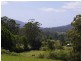 lot 31 Tallowood Lane, Hannam Vale NSW 2443
