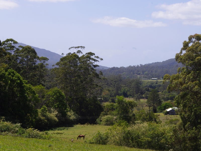 lot 31 Tallowood Lane, Hannam Vale NSW 2443