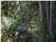 lot 31 Tallowood Lane, Hannam Vale NSW 2443