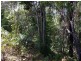lot 31 Tallowood Lane, Hannam Vale NSW 2443