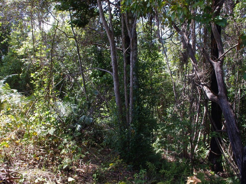 lot 31 Tallowood Lane, Hannam Vale NSW 2443