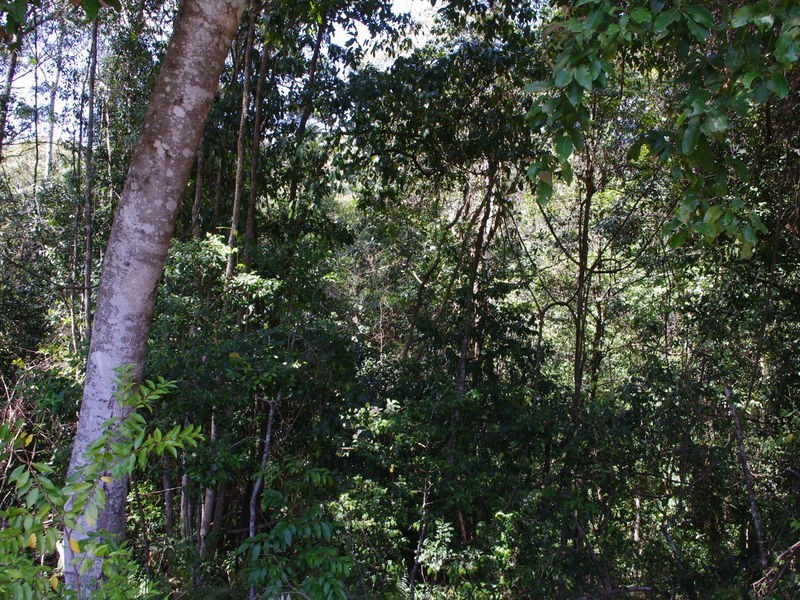 lot 31 Tallowood Lane, Hannam Vale NSW 2443
