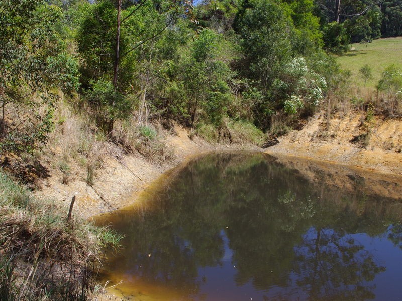 lot 31 Tallowood Lane, Hannam Vale NSW 2443