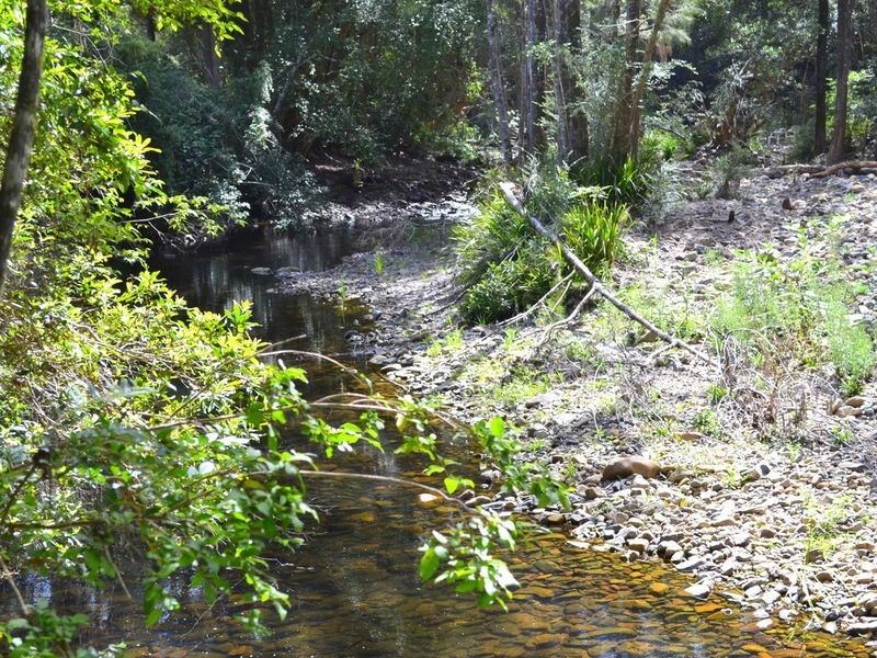 2555 Upper Pappinbarra Road, Pappinbarra NSW 2446