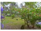 14 James Ralfe Drive, Sancrox NSW 2446