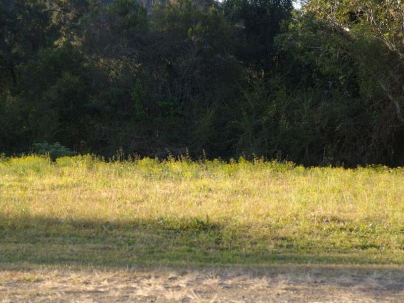 Ellenborough NSW 2446