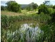 Pappinbarra NSW 2446