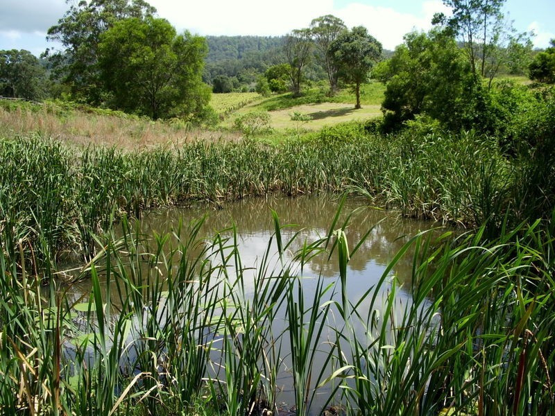 Pappinbarra NSW 2446