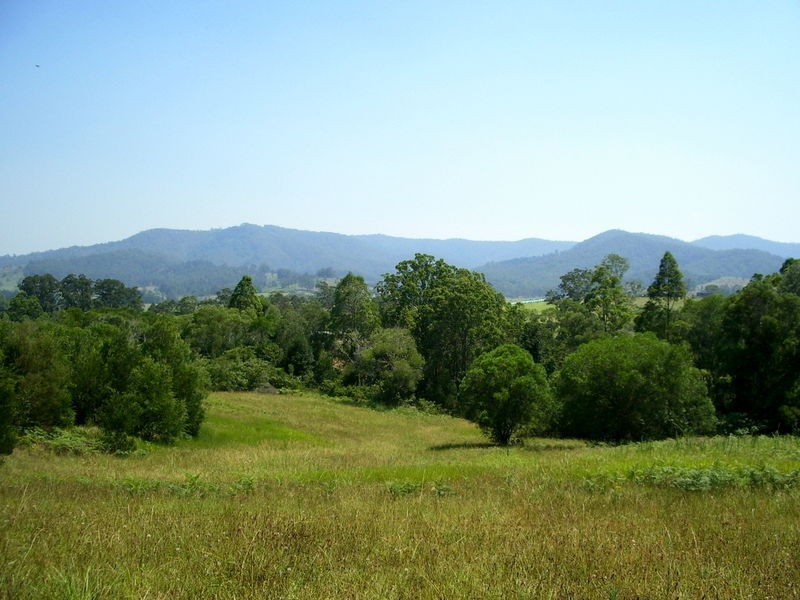 Pappinbarra NSW 2446