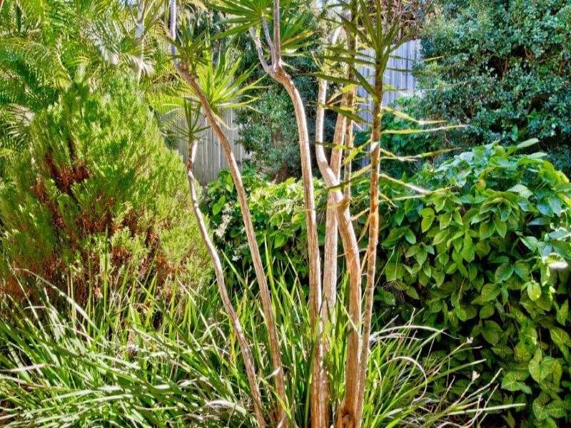 8 Felicia Place, Eatons Hill QLD 4037