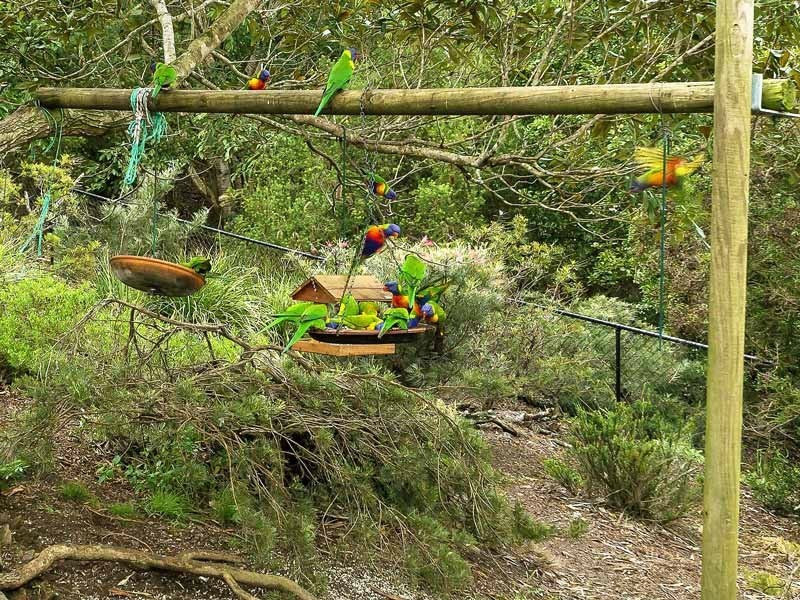 33 Maskell Court, Draper QLD 4520