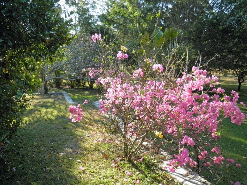 17 Sarow Drive, Warner QLD 4500