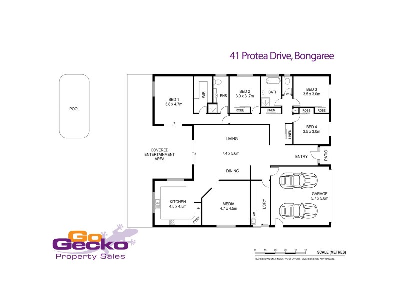 41 Protea Drive, Bongaree QLD 4507 Floorplan