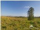 7 Pine Tree Drive, Winya QLD 4515