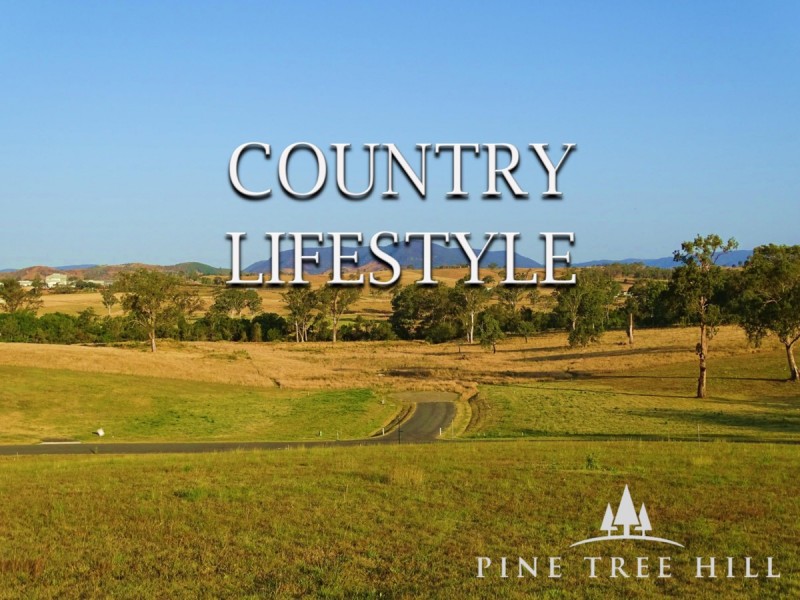 19 Pine Tree Drive, Winya QLD 4515