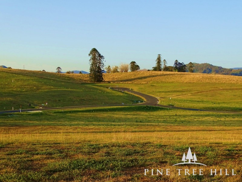 6 Pine Tree Drive, Winya QLD 4515