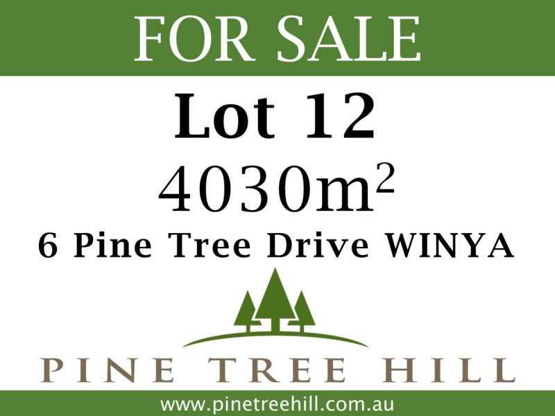 6 Pine Tree Drive, Winya QLD 4515