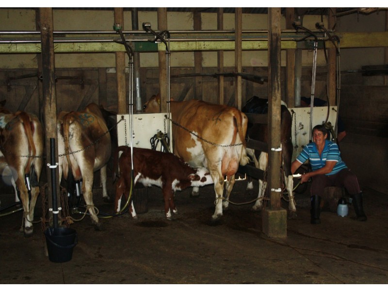 Lot 69 SP258974, 14-126 Sellin Road, Mount Mee QLD 4521