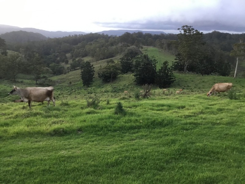 Lot 69 SP258974, 14-126 Sellin Road, Mount Mee QLD 4521