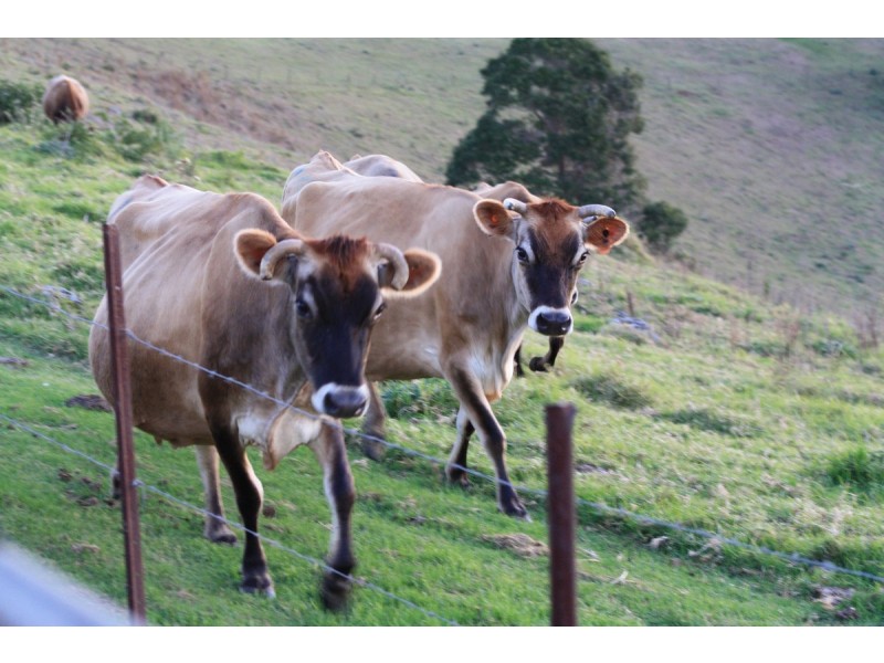 Lot 69 SP258974, 14-126 Sellin Road, Mount Mee QLD 4521