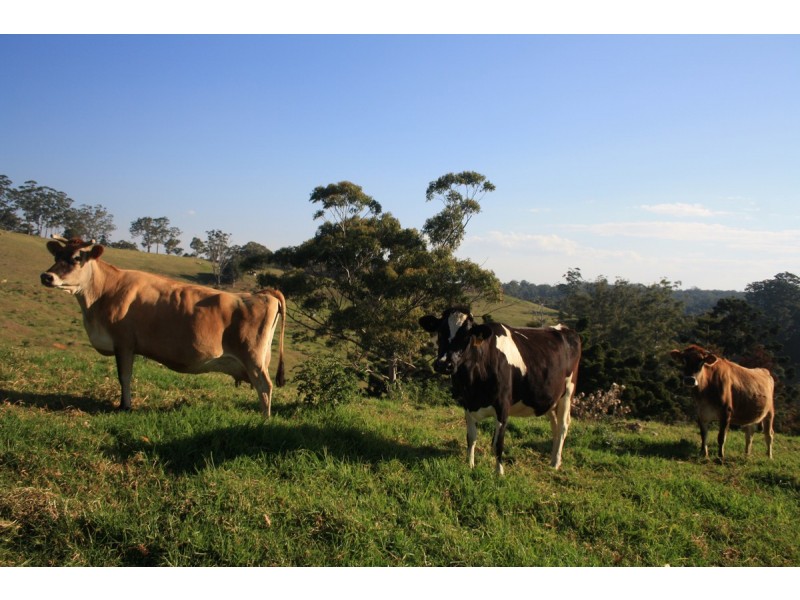 Lot 69 SP258974, 14-126 Sellin Road, Mount Mee QLD 4521