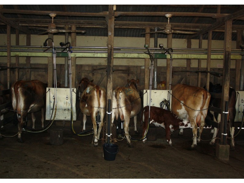 Lot 69 SP258974, 14-126 Sellin Road, Mount Mee QLD 4521