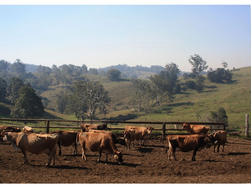 Lot 69 SP258974, 14-126 Sellin Road, Mount Mee QLD 4521