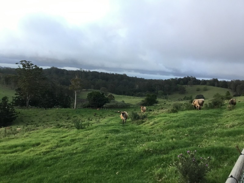 Lot 69 SP258974, 14-126 Sellin Road, Mount Mee QLD 4521