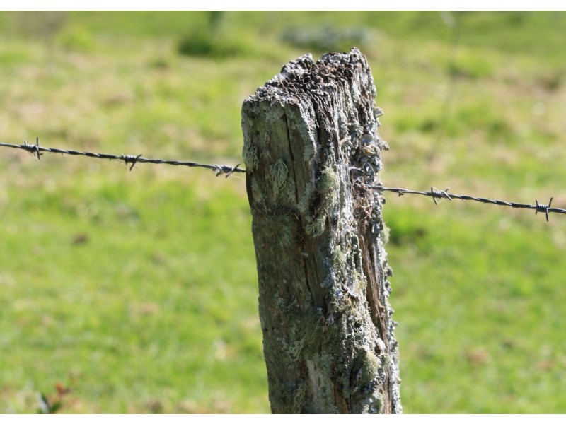 Lot 69 SP258974, 14-126 Sellin Road, Mount Mee QLD 4521