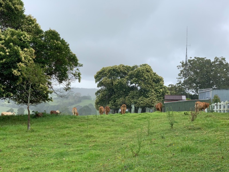 1153 Mount Mee Road, Mount Mee QLD 4521