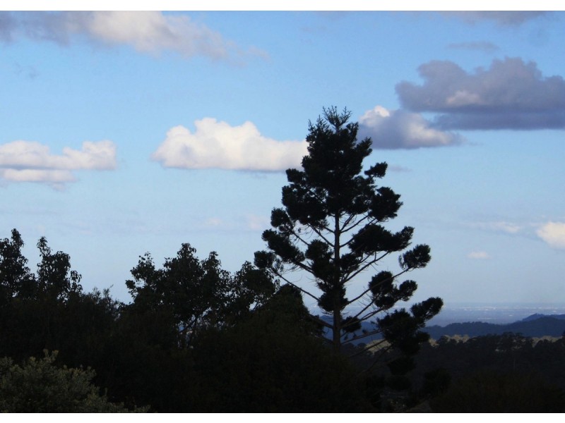 5 Gannon Street, Mount Mee QLD 4521