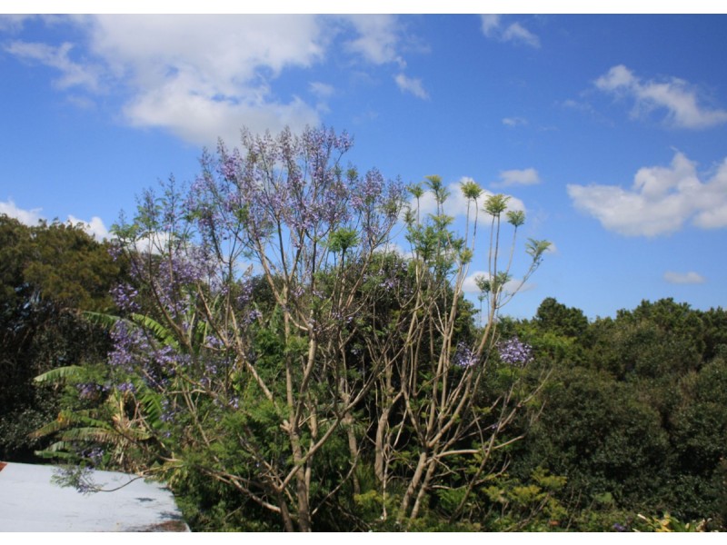 5 Gannon Street, Mount Mee QLD 4521