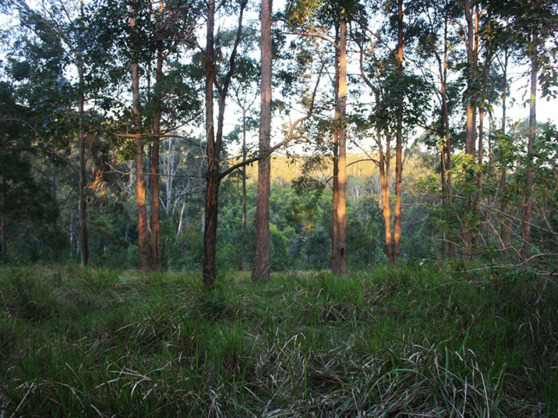 Lot 1,  Hewitt Road, Mount Mee QLD 4521