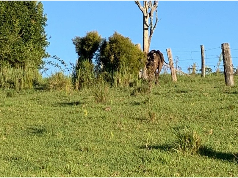 Lot 1,  Hewitt Road, Mount Mee QLD 4521