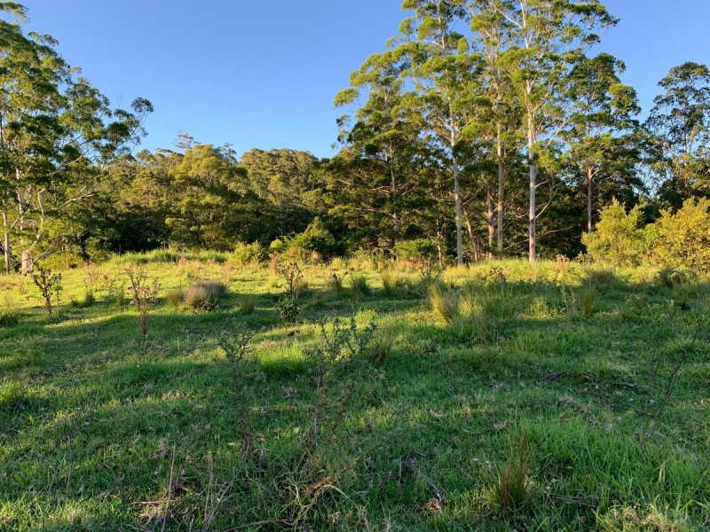 Lot 1,  Hewitt Road, Mount Mee QLD 4521