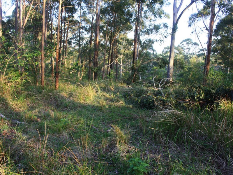 Lot 1,  Hewitt Road, Mount Mee QLD 4521