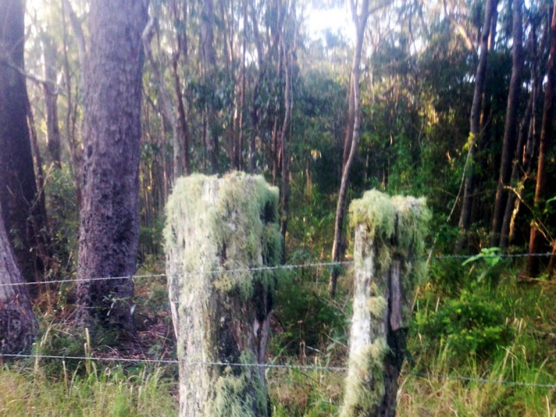 Lot 1,  Hewitt Road, Mount Mee QLD 4521