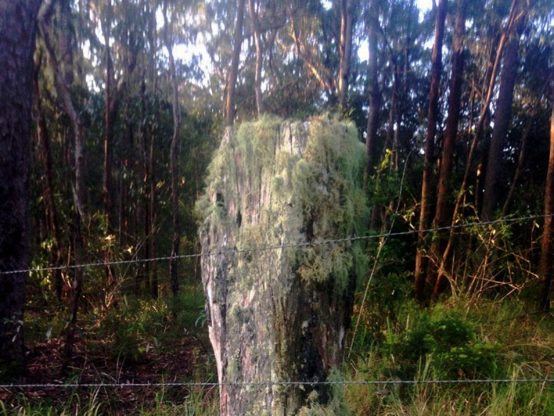 Lot 1,  Hewitt Road, Mount Mee QLD 4521