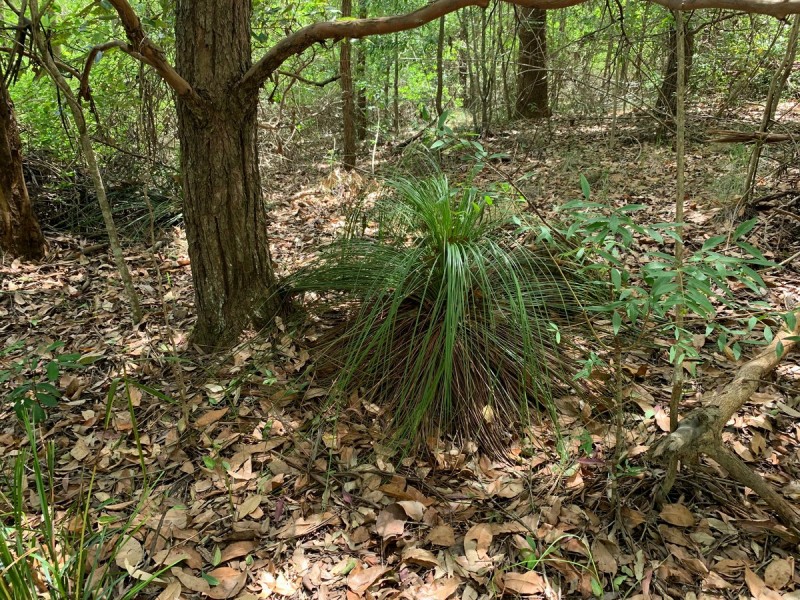 Lot 2,  Hewitt Road, Mount Mee QLD 4521