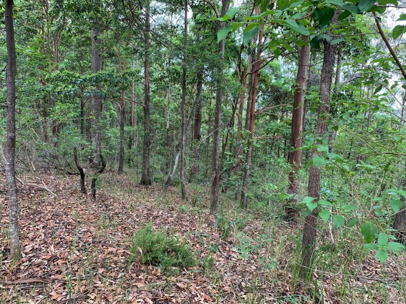 Lot 2,  Hewitt Road, Mount Mee QLD 4521