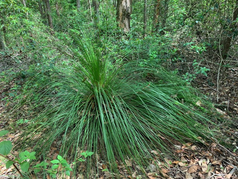 Lot 2,  Hewitt Road, Mount Mee QLD 4521