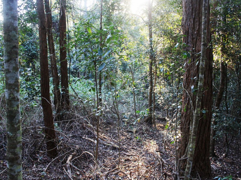 Lot 2,  Hewitt Road, Mount Mee QLD 4521
