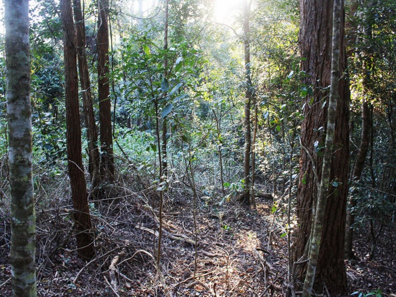 Lot 2,  Hewitt Road, Mount Mee QLD 4521