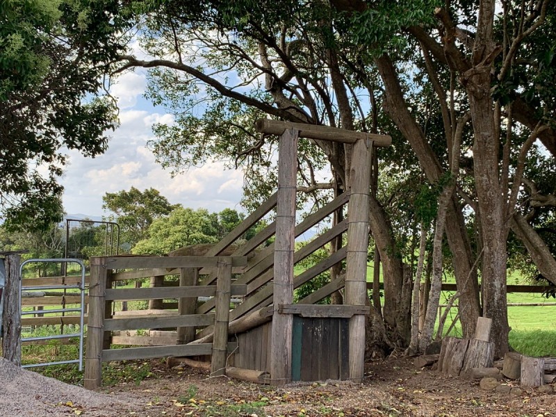 1150 Mount Mee Road, Mount Mee QLD 4521