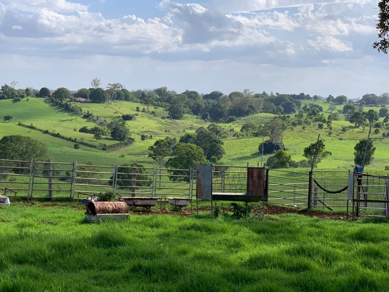 1150 Mount Mee Road, Mount Mee QLD 4521