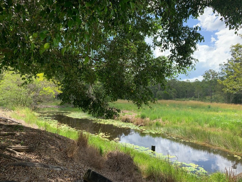 261 Meyricks Road, Glass House Mountains QLD 4518