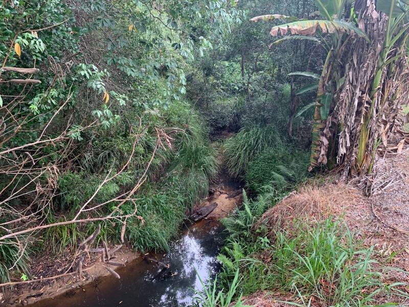 261 Meyricks Road, Glass House Mountains QLD 4518