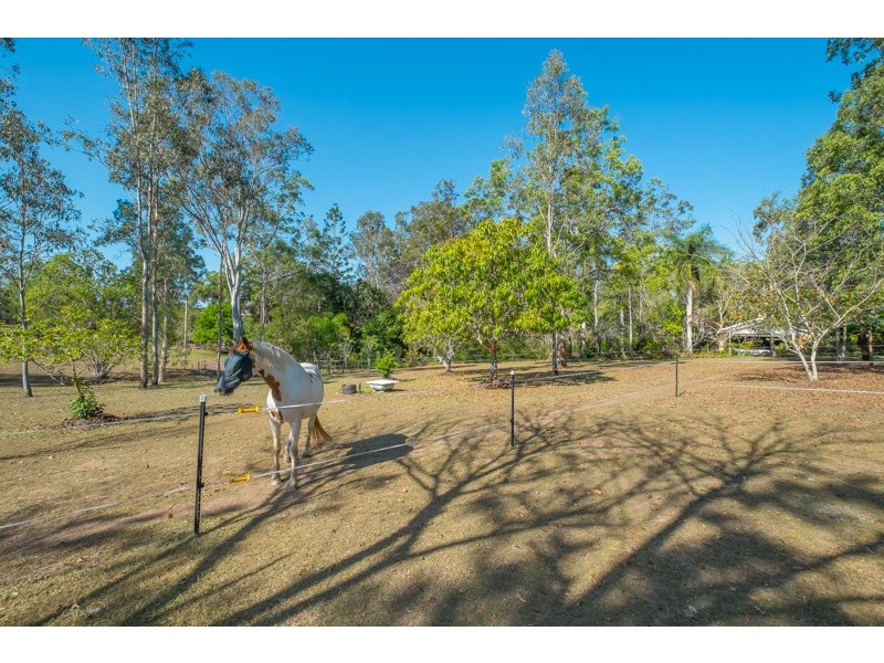 14 Kensleigh Avenue, Bellmere QLD 4510
