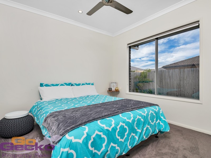 24 Treefrog Street, Ningi QLD 4511